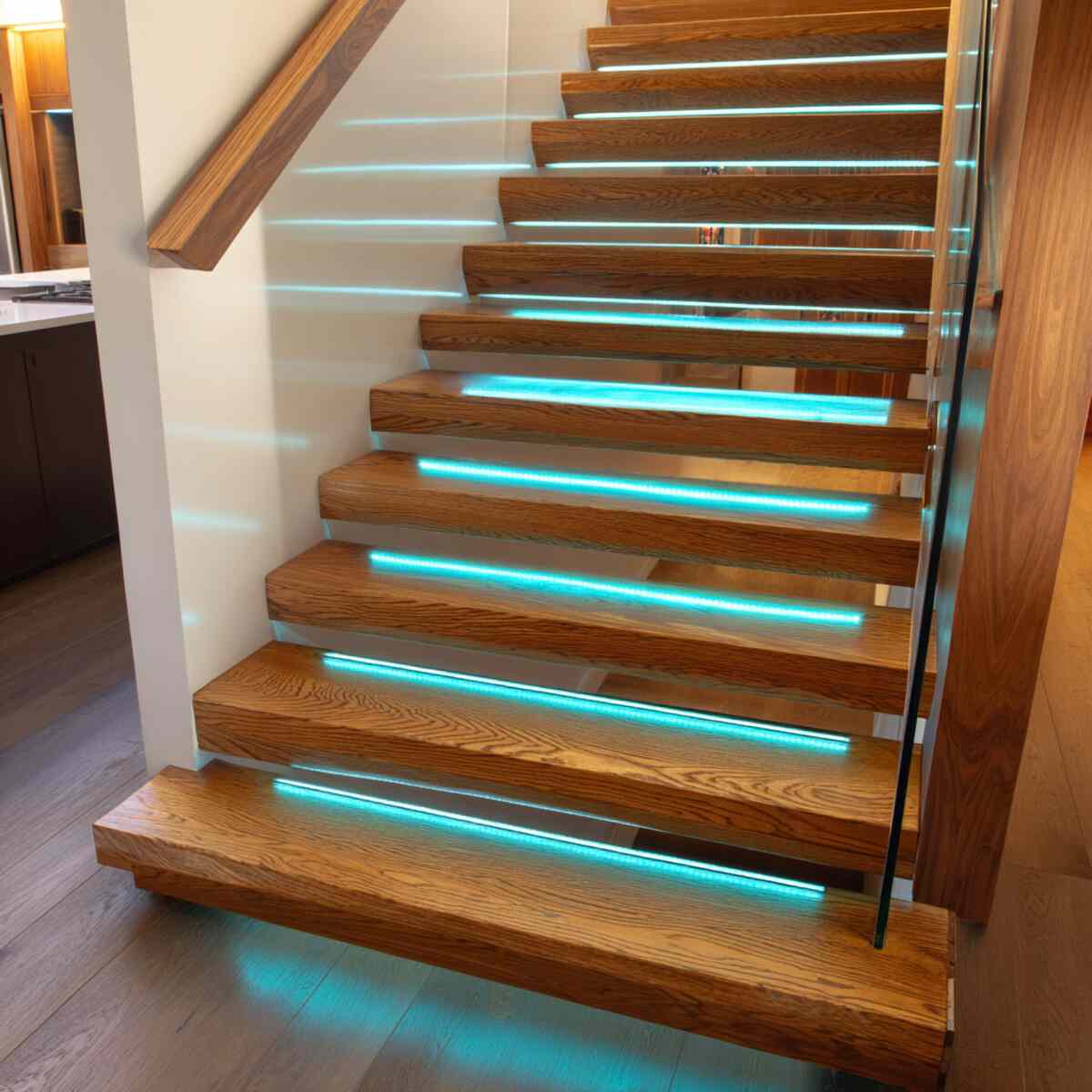 Lighted Treads with LED Strips