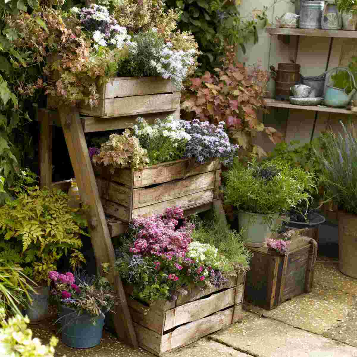Tiered Flower Display