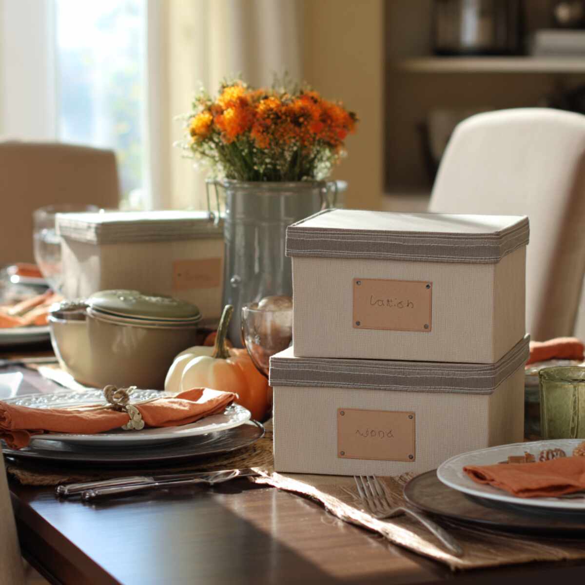 Labeled Storage Boxes