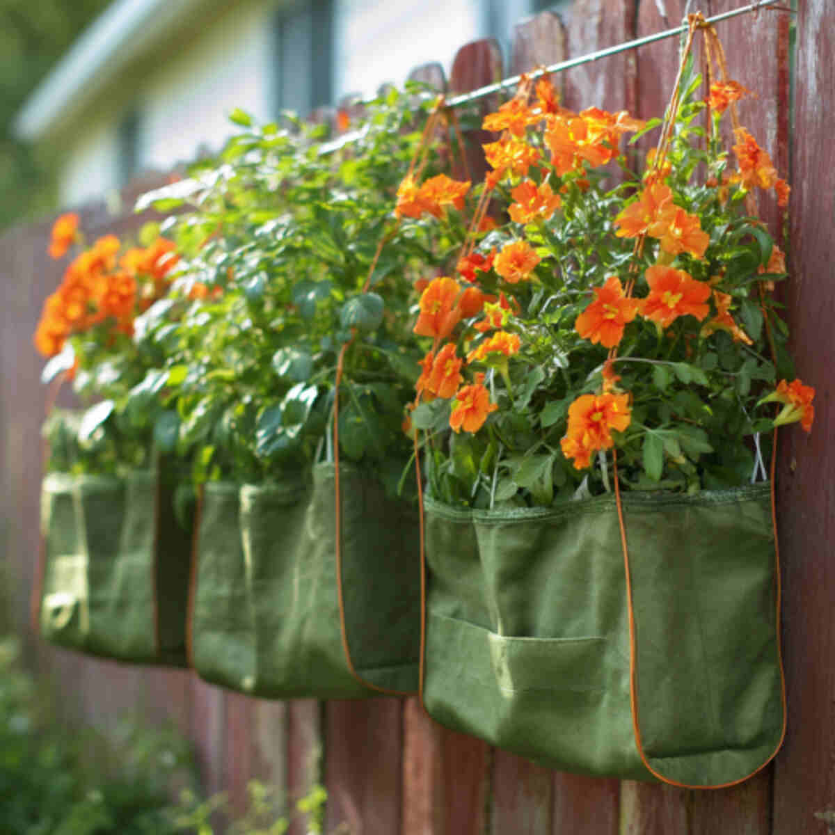 Butterfly-Attracting Flower Bags