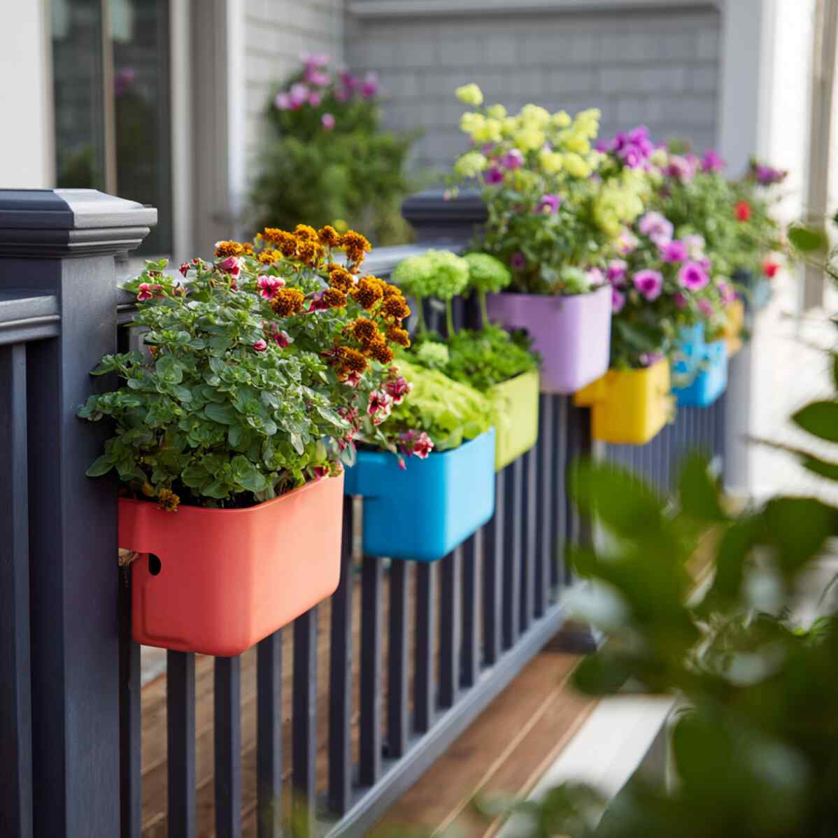 Colorful Plastic Planters