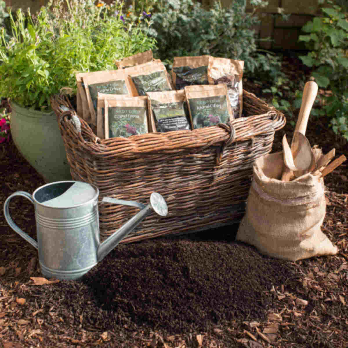 Compost Booster