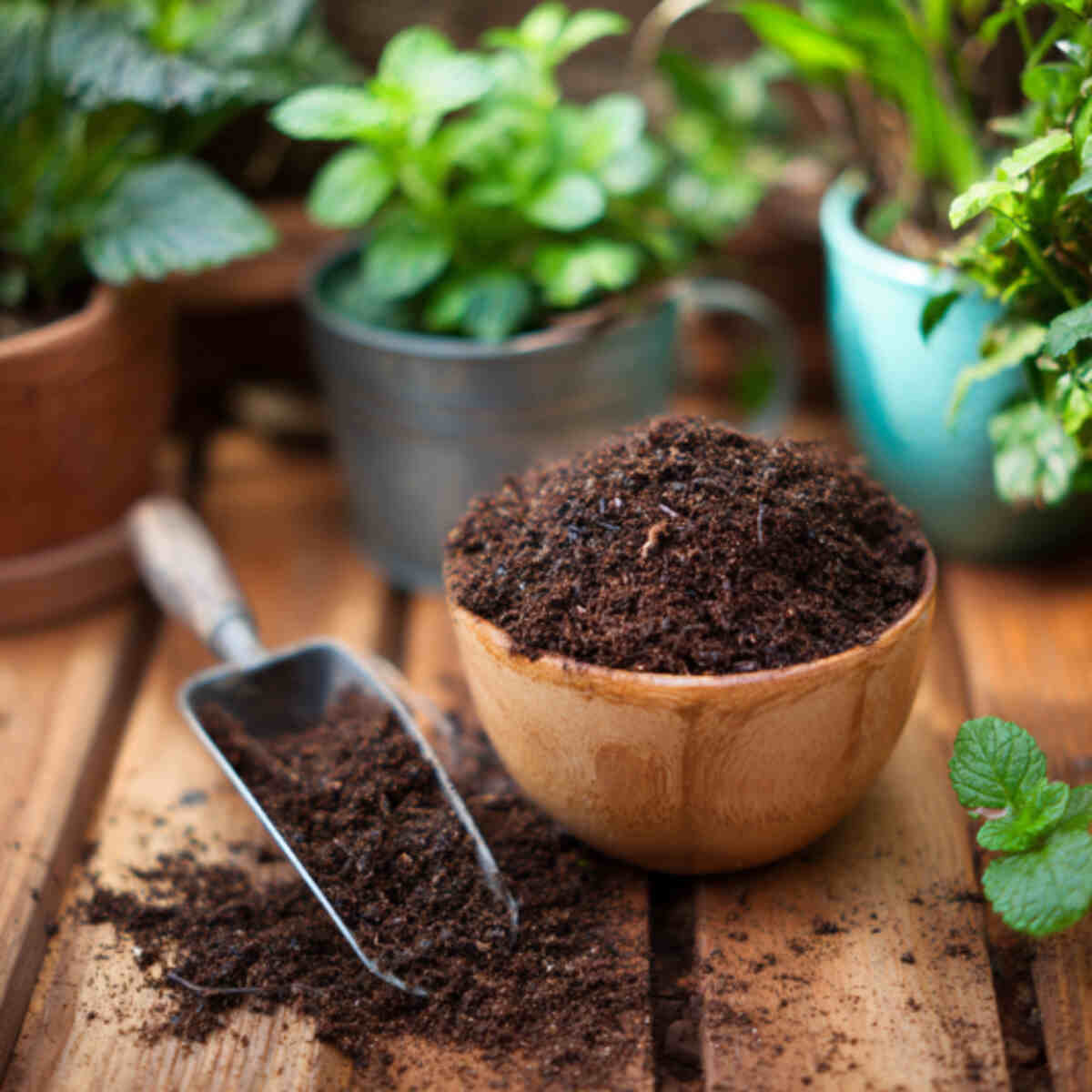 DIY Plant Food Mix
