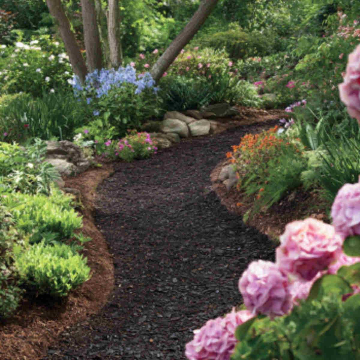 Garden Path Deodorizer and Cleaner
