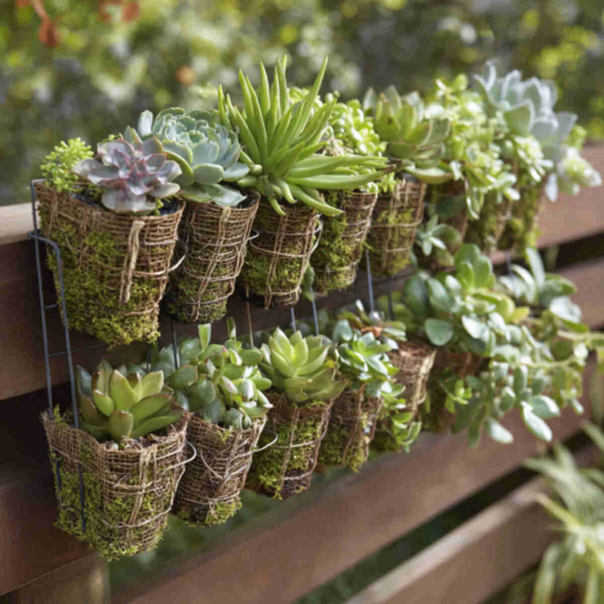 Hanging Succulent Pockets