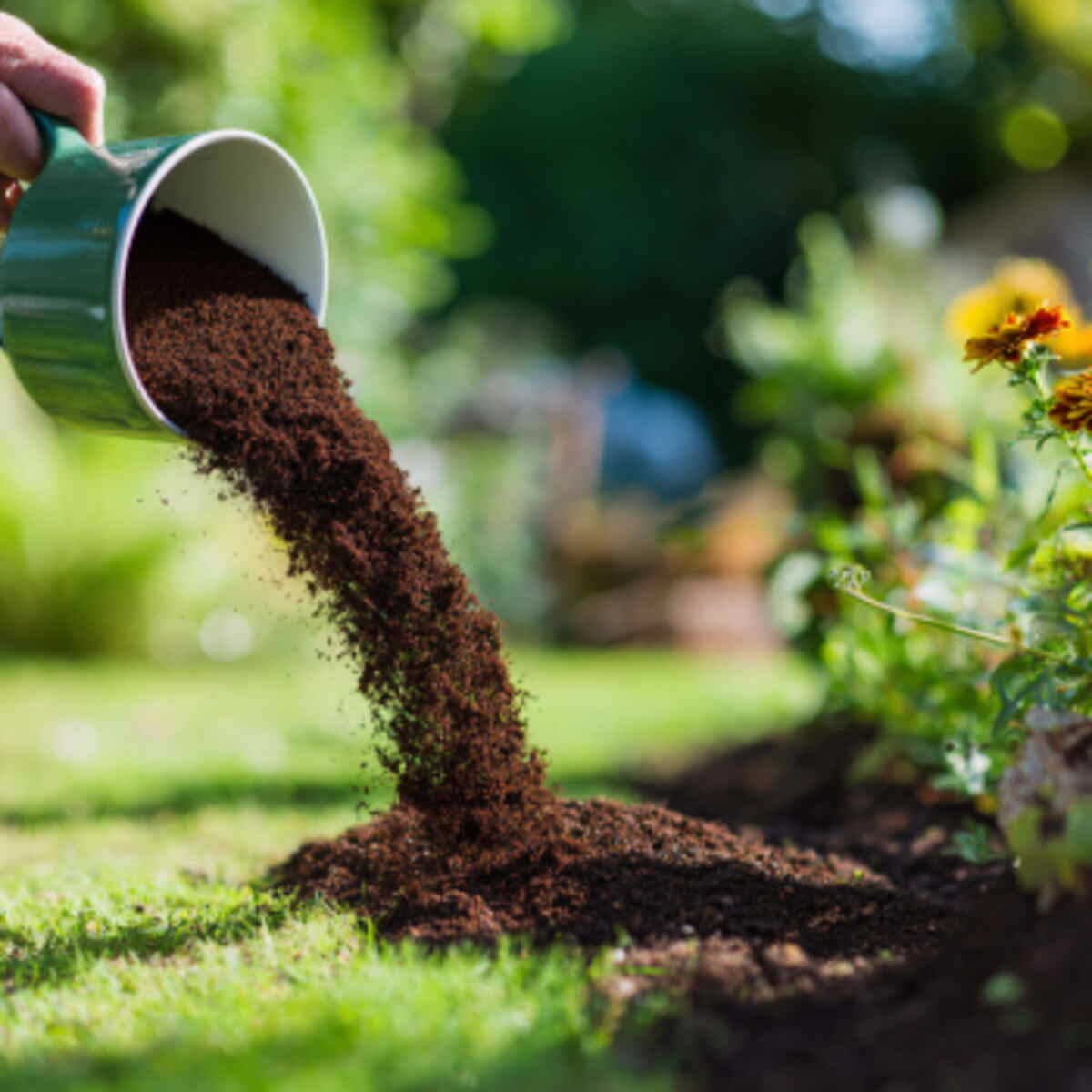 Lawn Nitrogen Boost