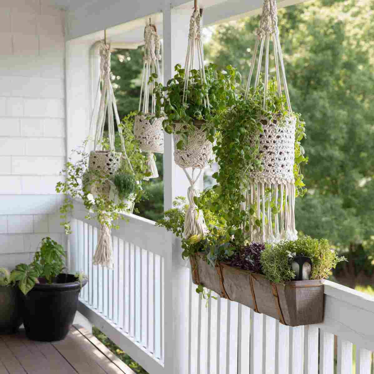 Macramé Plant Hangers