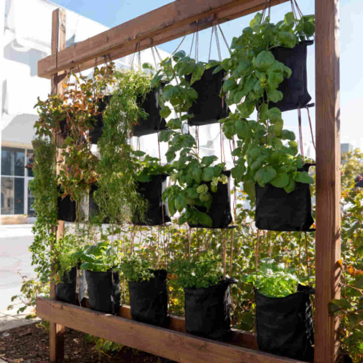 Pollinator-Friendly Vertical Garden