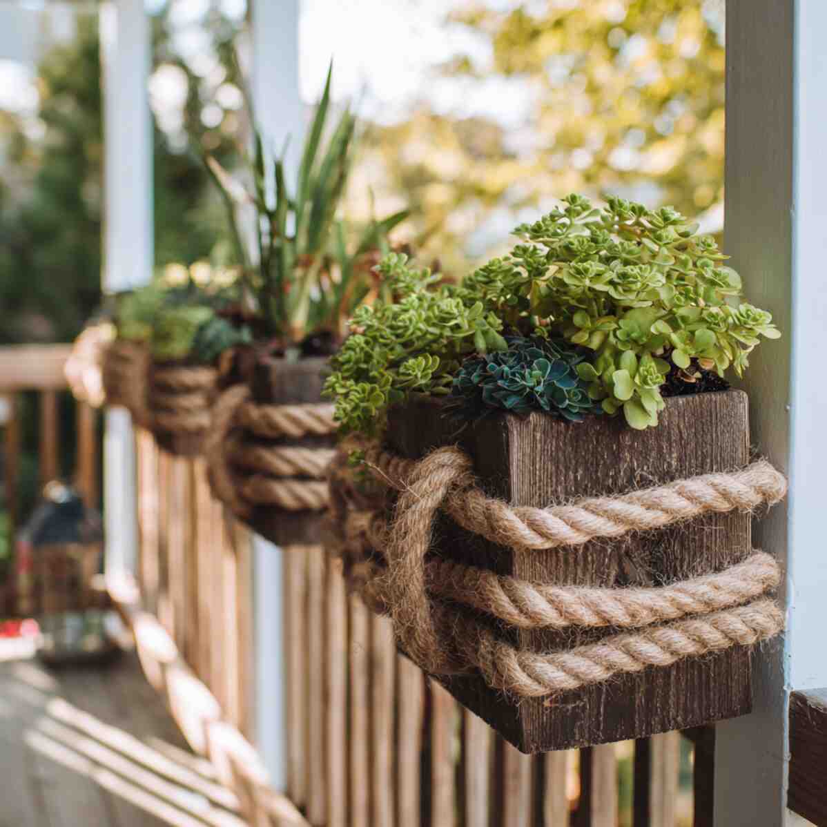 Rope-Wrapped Planters