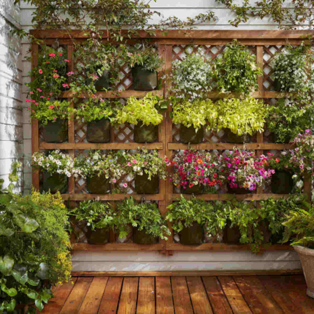 Seasonal Planting Rotation Wall