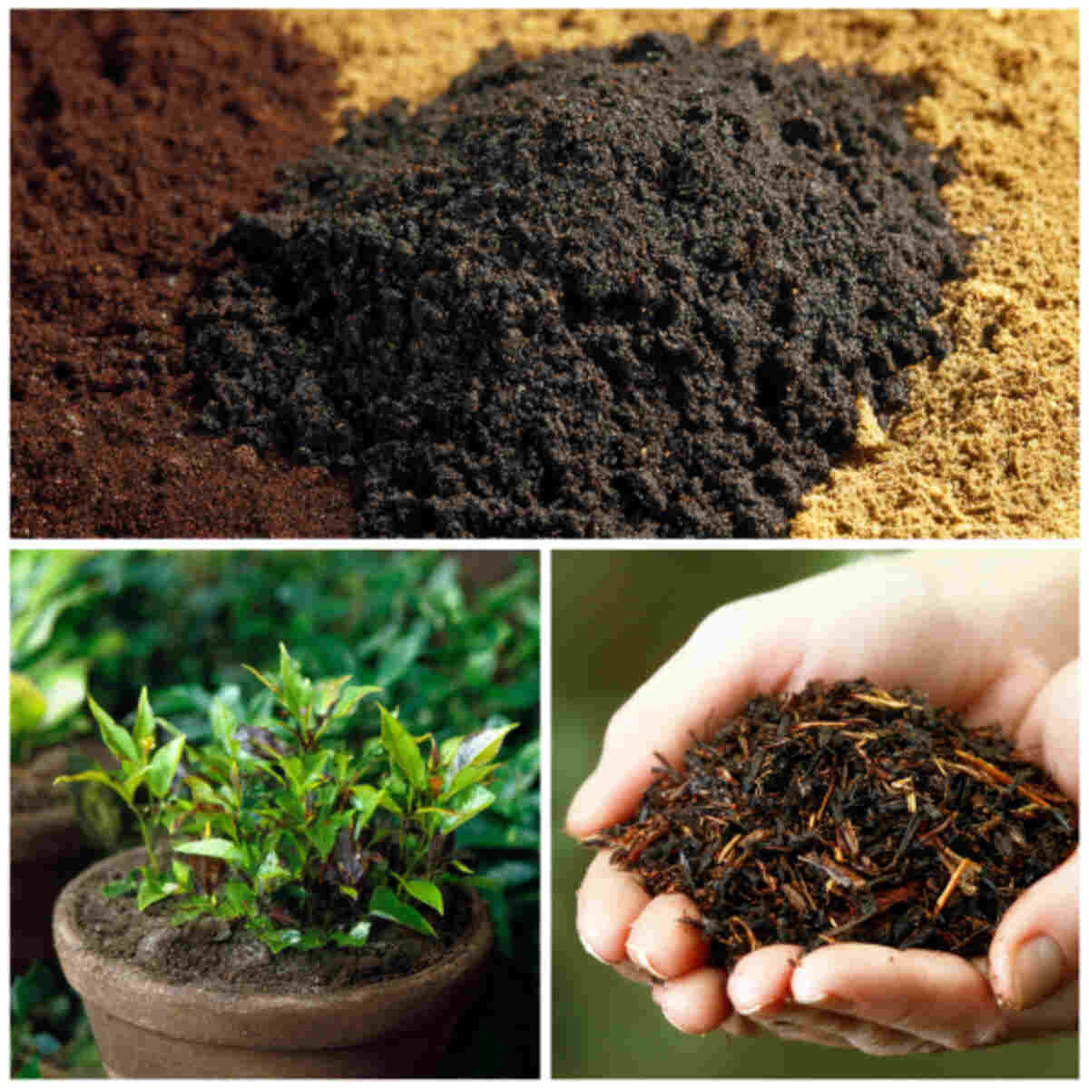 Seed Starter Mix Additive