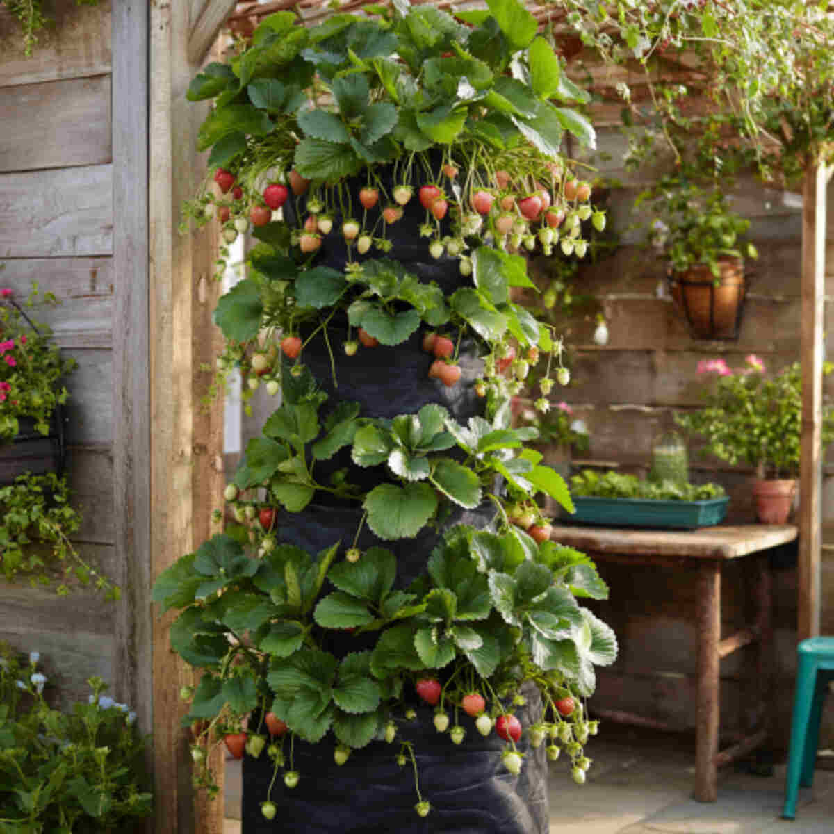 Strawberry Tower
