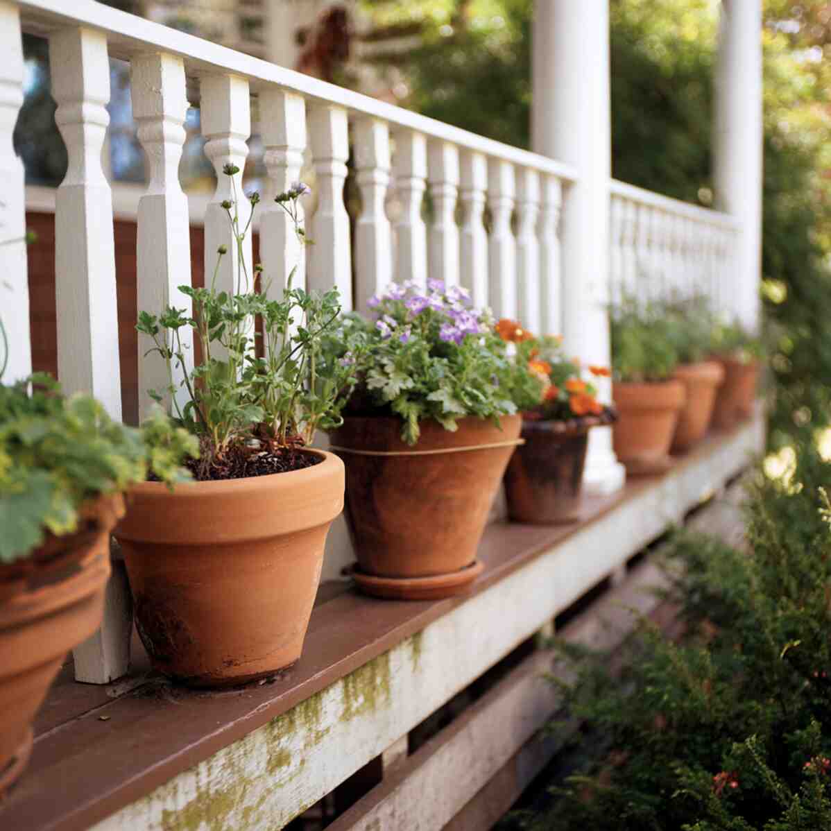 Terracotta Railing Pots
