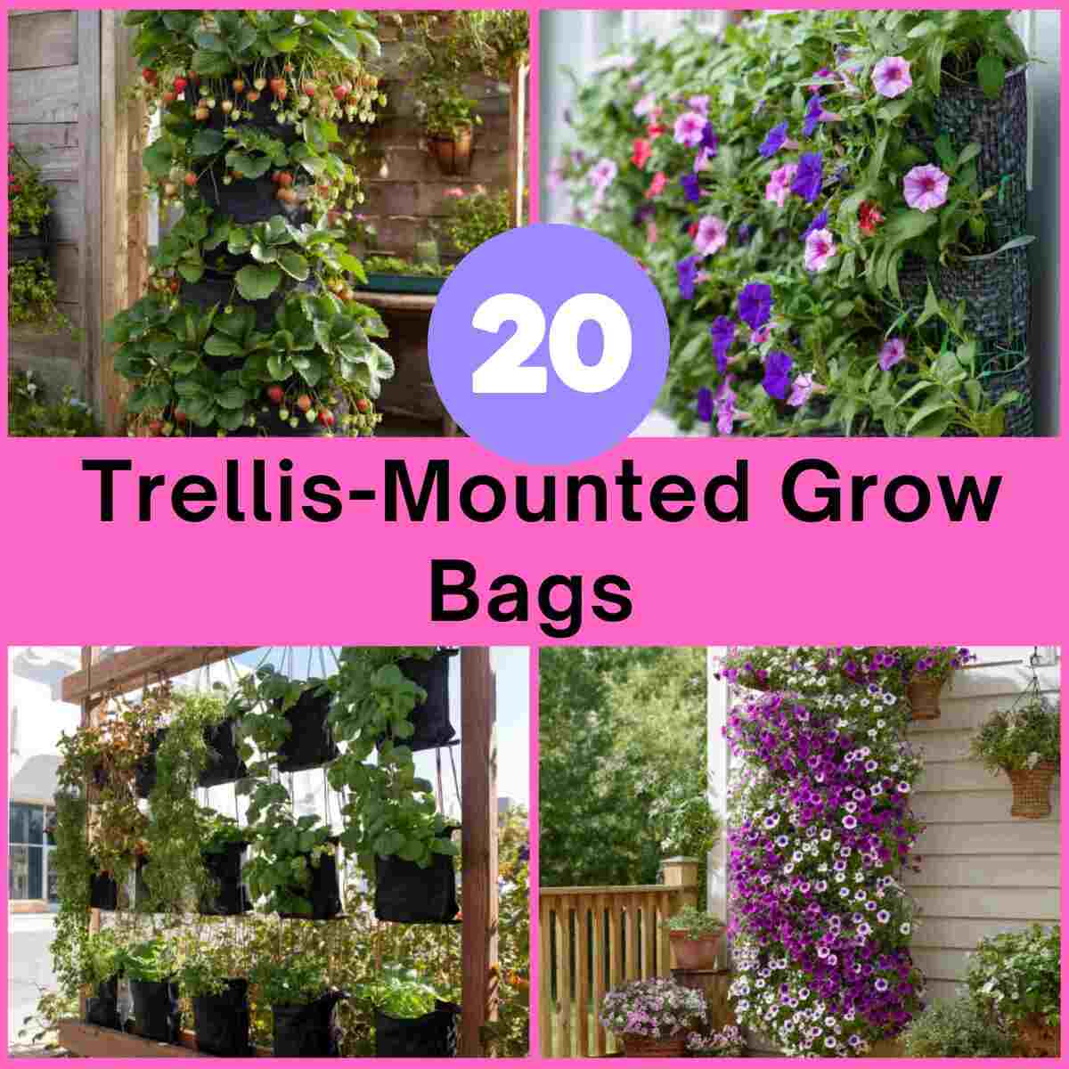 Trellis-Mounted Grow Bag