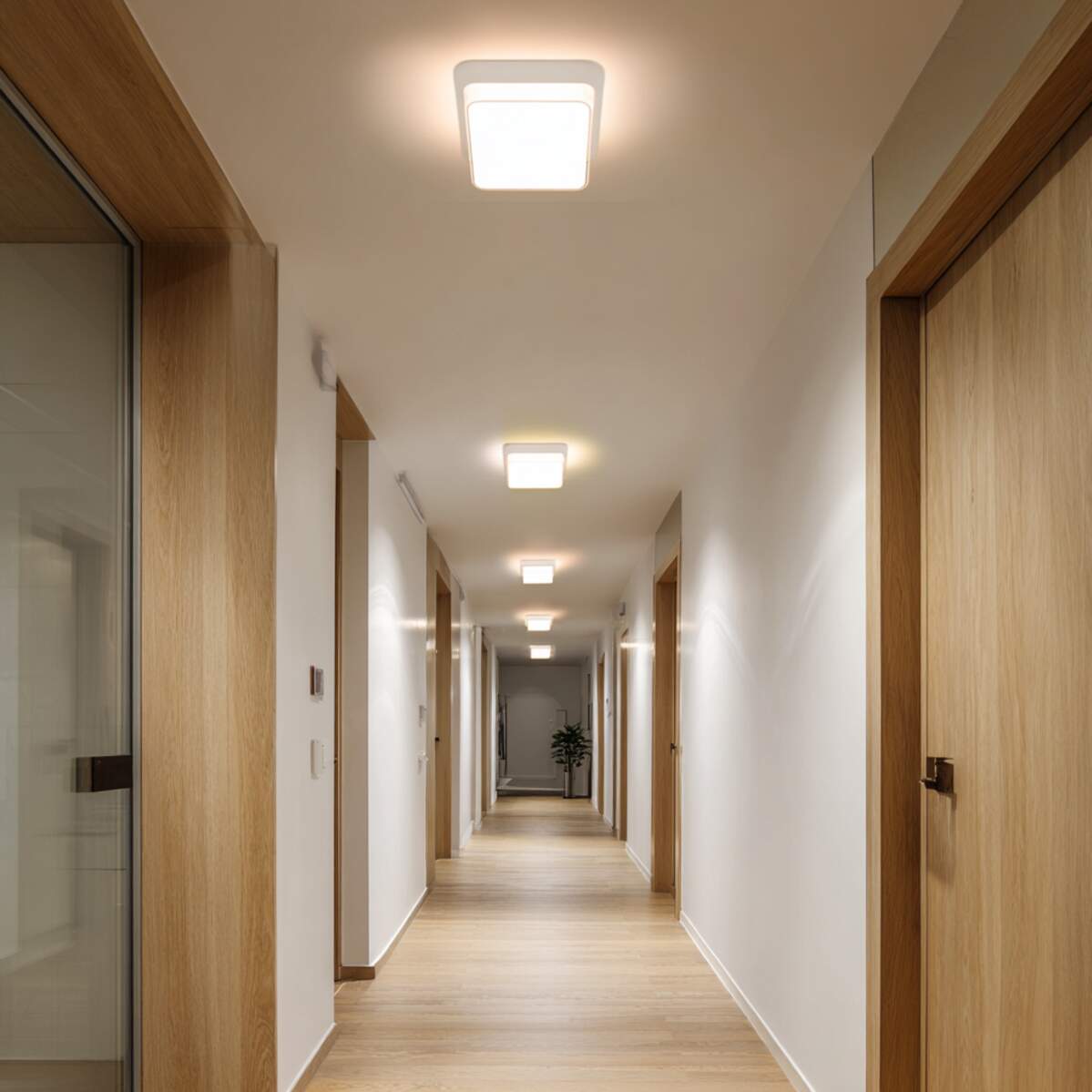 Motion Sensor Lights