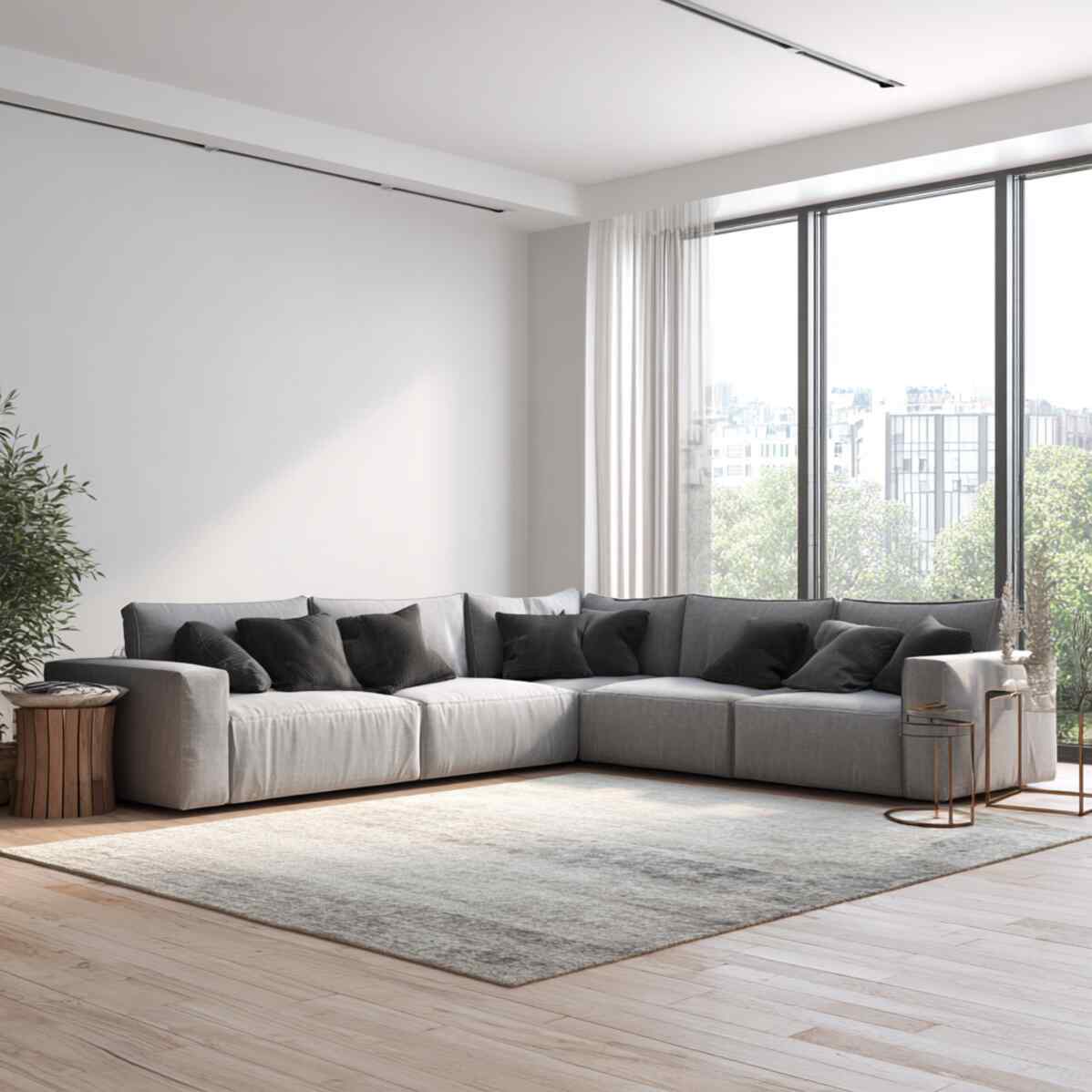 Corner Sofa with Rug and No Extra Decor