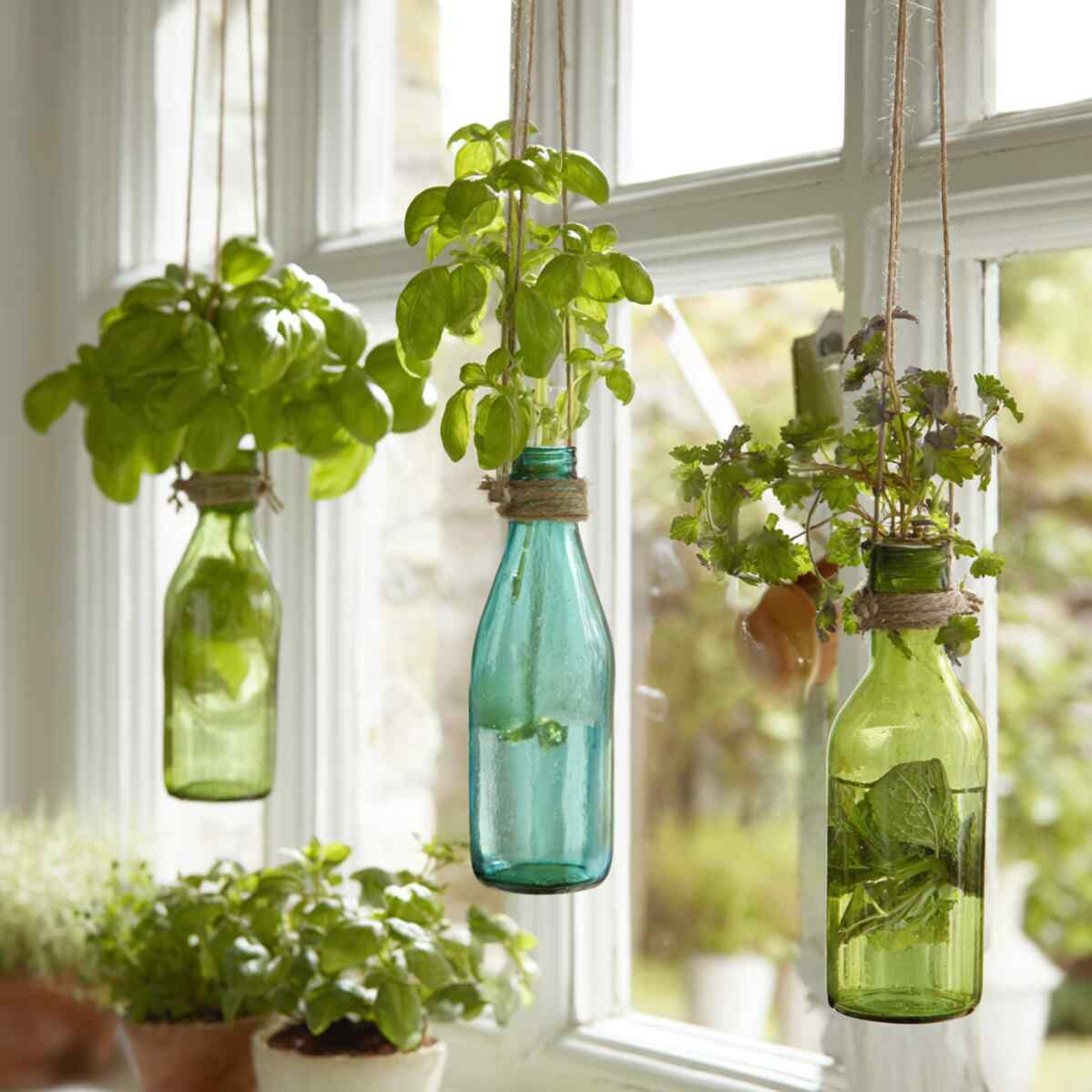 Hanging Glass Bottle Planters