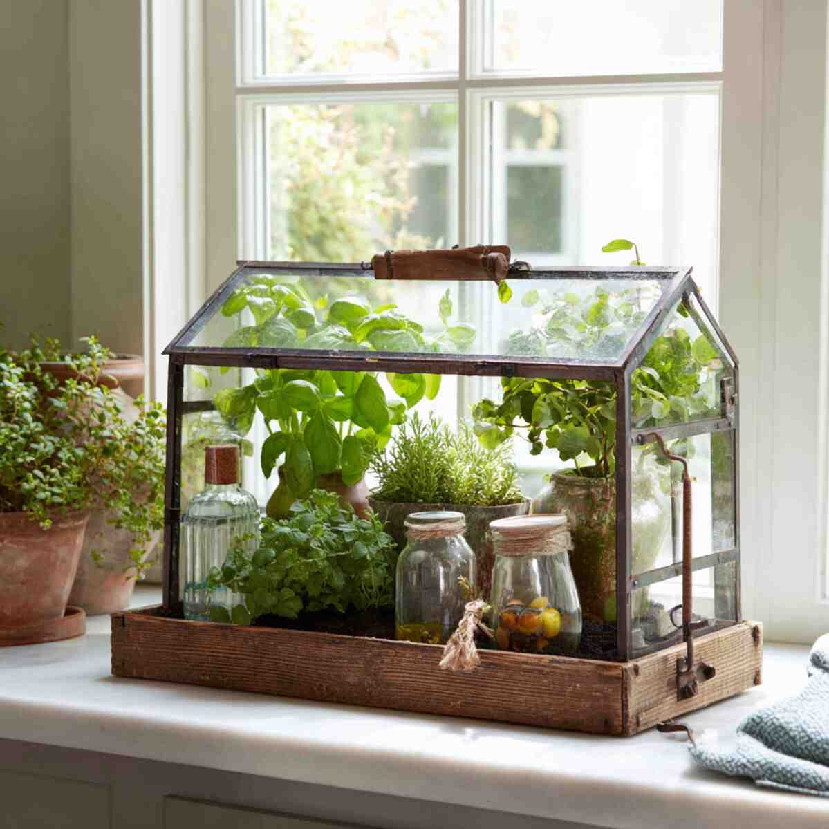 Glass Terrarium Herb Garden
