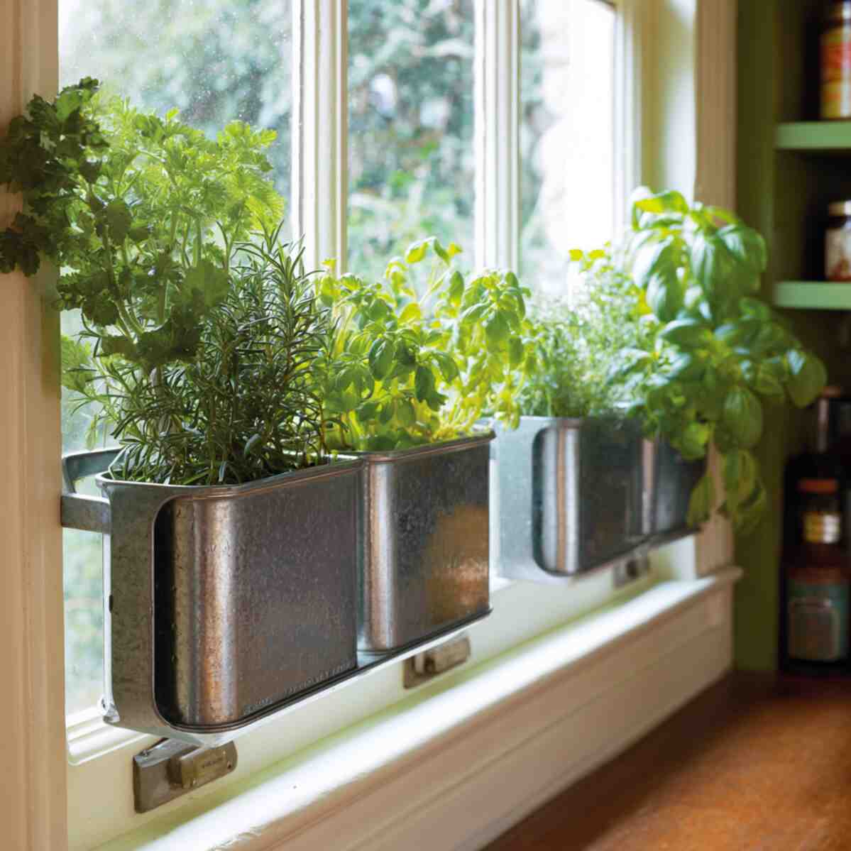 Magnetic Herb Tins on the Window Frame
