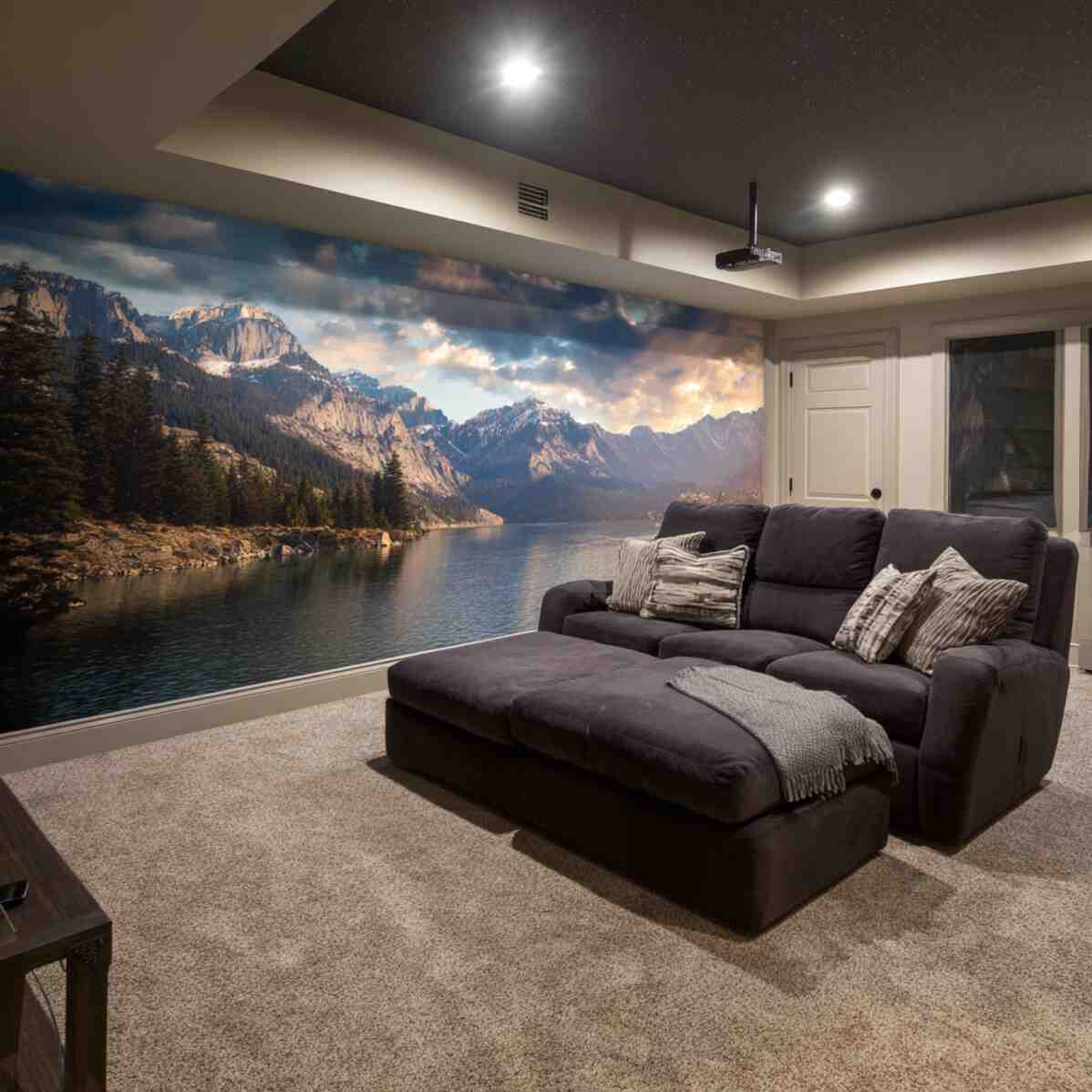 Custom Home Theater Wall Murals