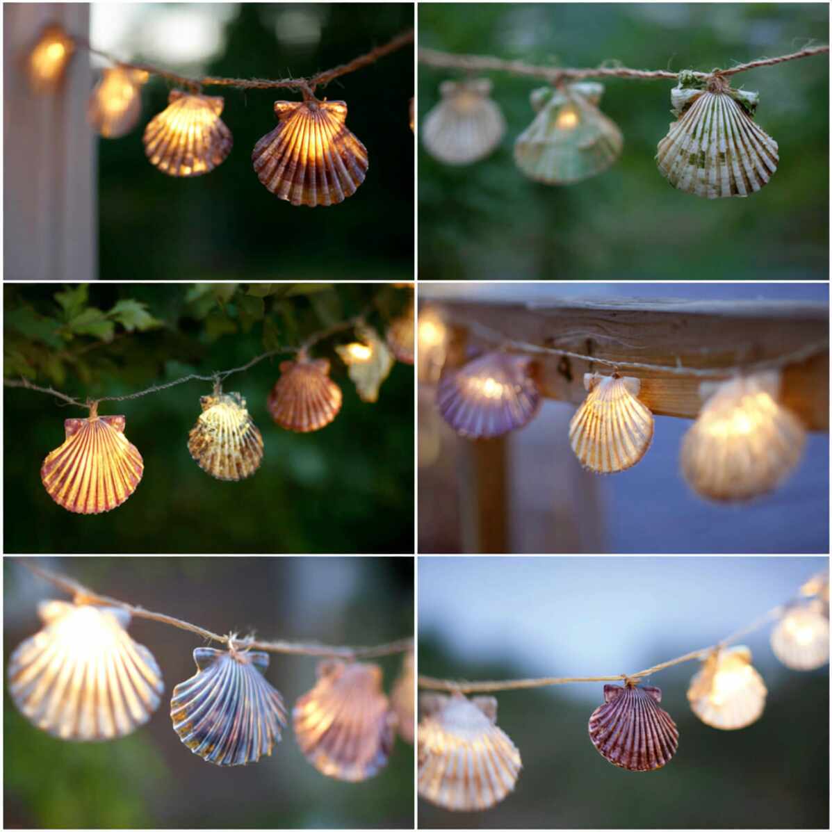 Seashell Light Covers