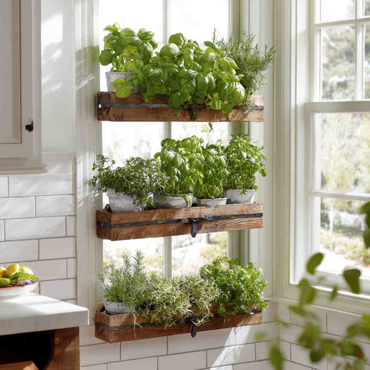 Wall-Mounted Tiered Planters