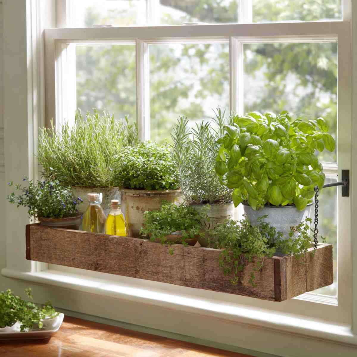 Floating Shelf Herb Garden