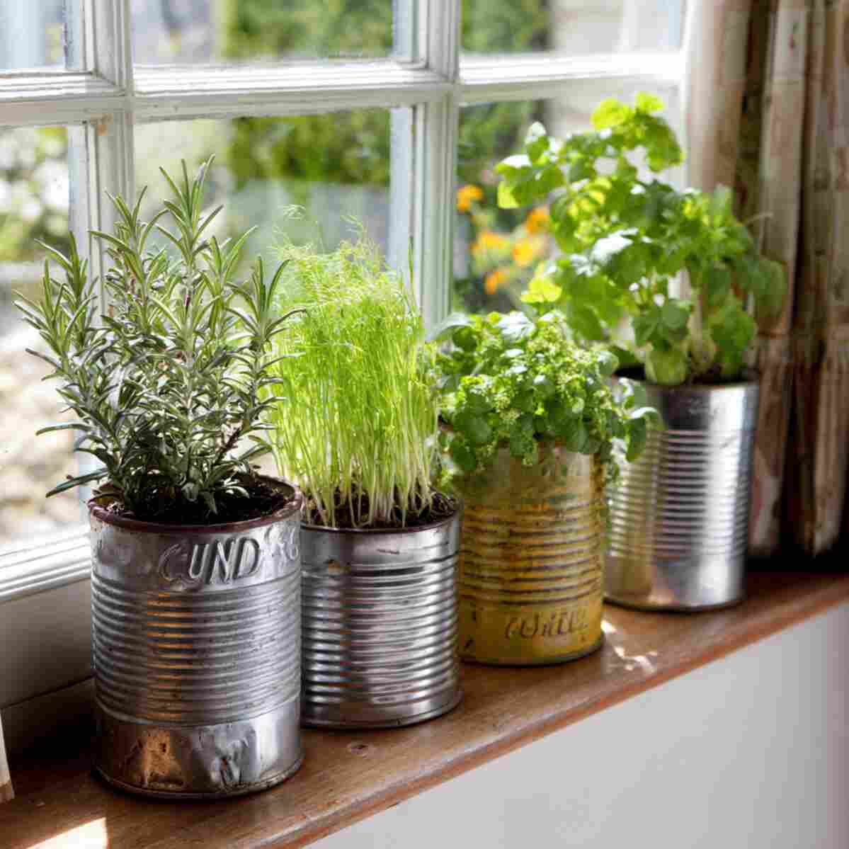 Recycled Tin Can Planters