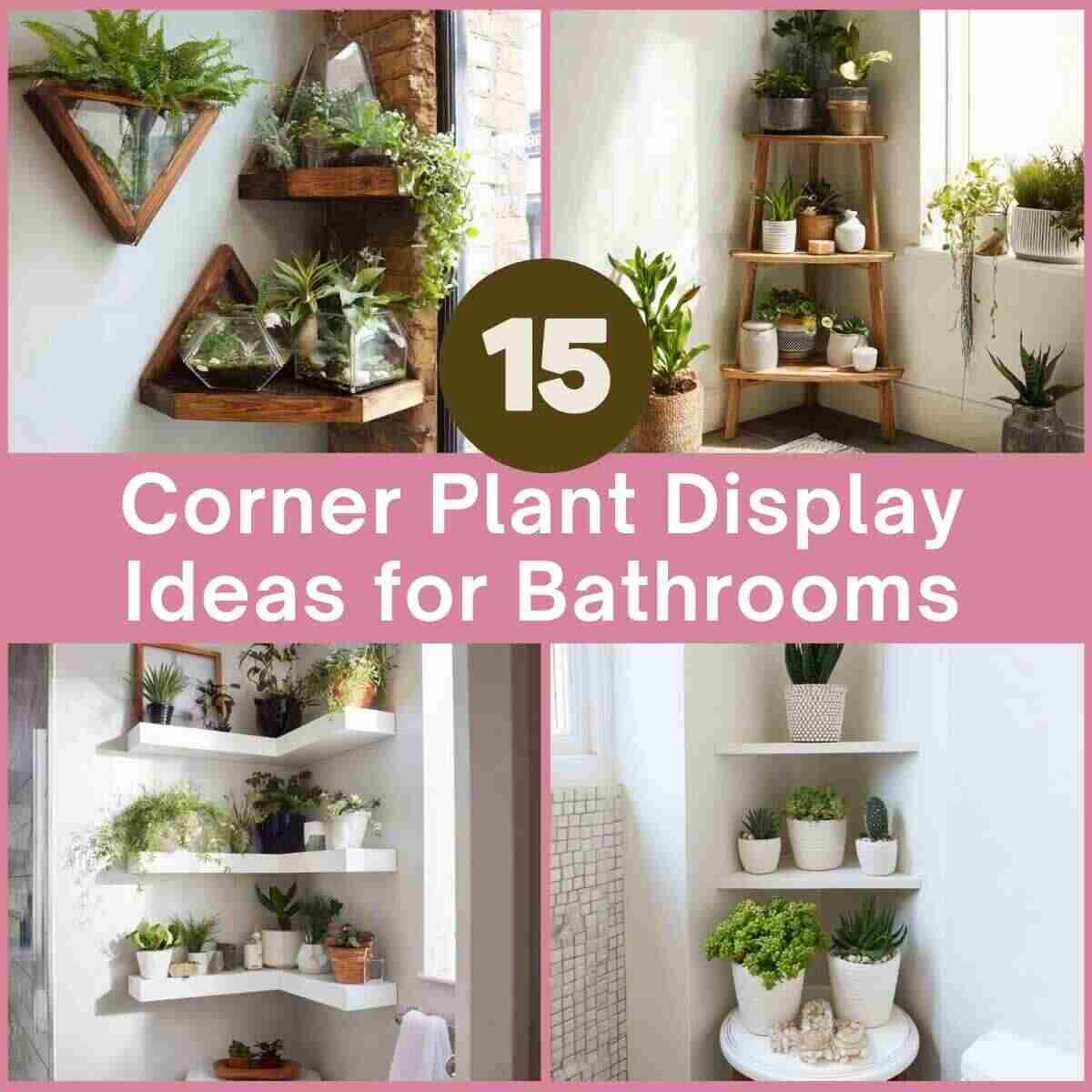 Corner Plant Display Ideas for Bathrooms
