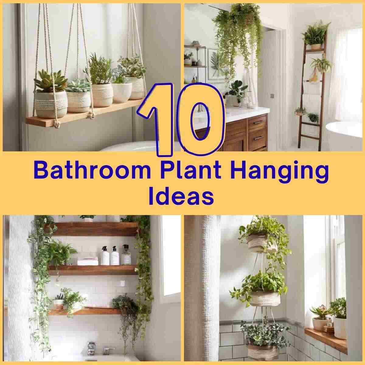 Bathroom Plant Hanging Ideas