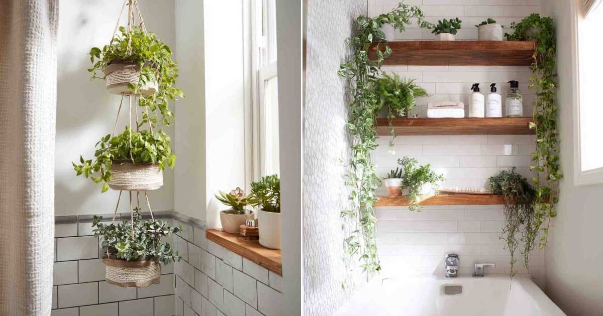 10 Clever Bathroom Plant Hanging Ideas You’ll Want to Try