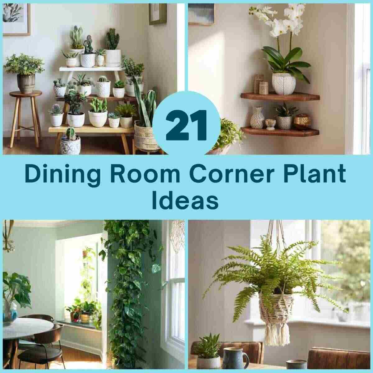 Dining Room Corner Plant Ideas
