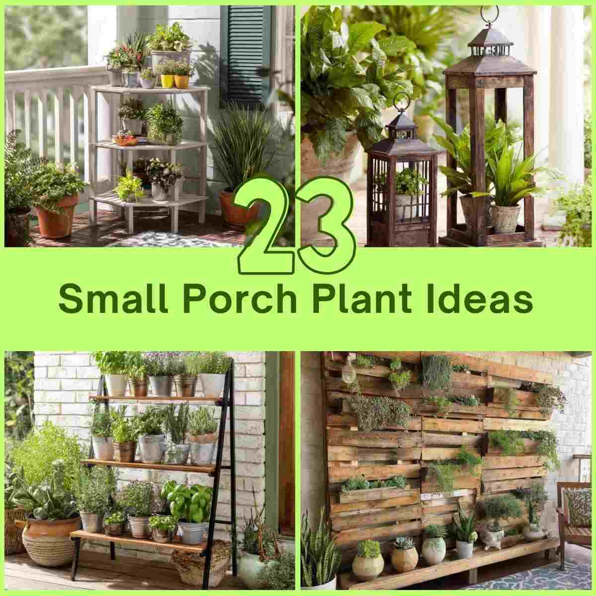 Small Porch Plant Ideas