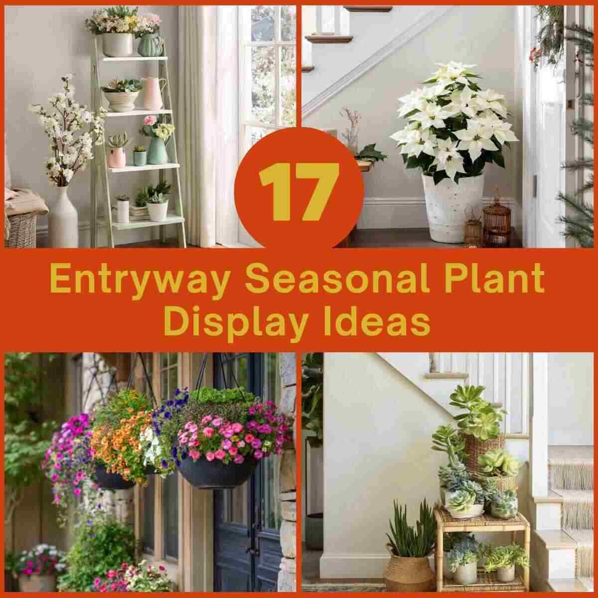 Entryway Seasonal Plant Display Ideas