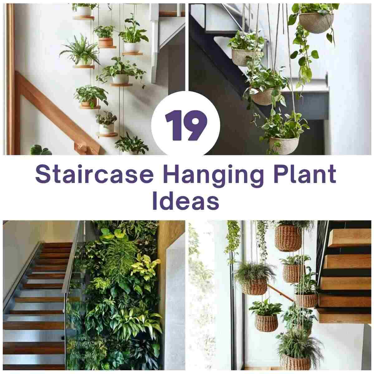 Staircase Hanging Plant Ideas