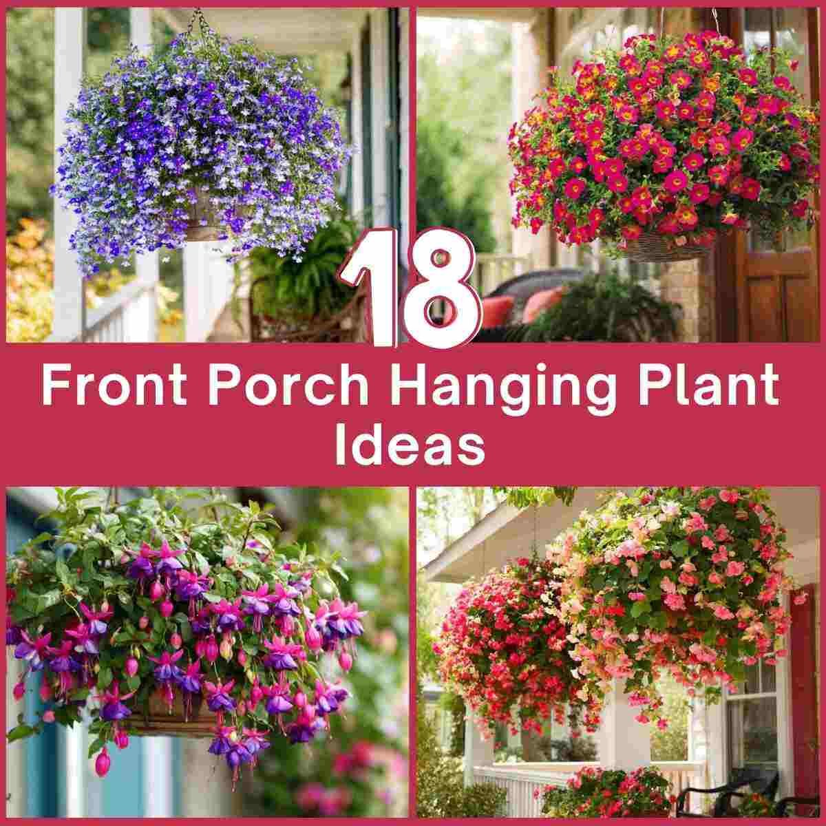 Front Porch Hanging Plant Ideas